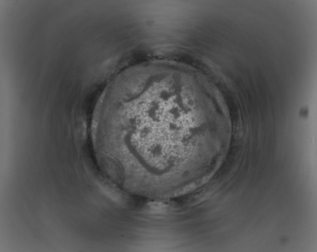 X0000093100703200710101538