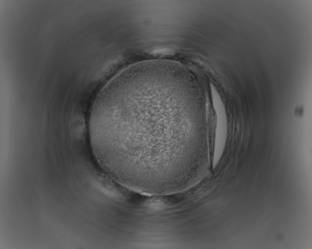 X0000093100704200710101538