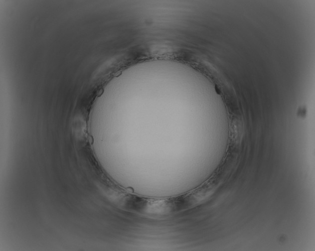 X0000093100705200710101538