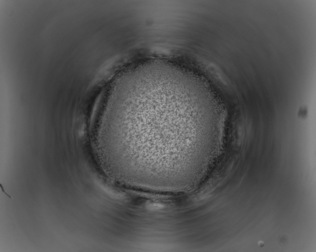 X0000093100706200710101538