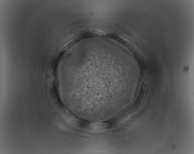 X0000093100707200710101538