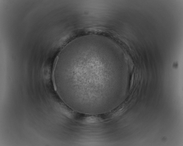 X0000093100708200710101538