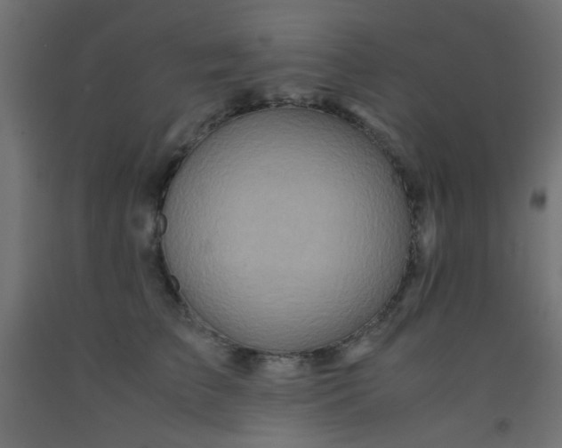 X0000093100709200710101538