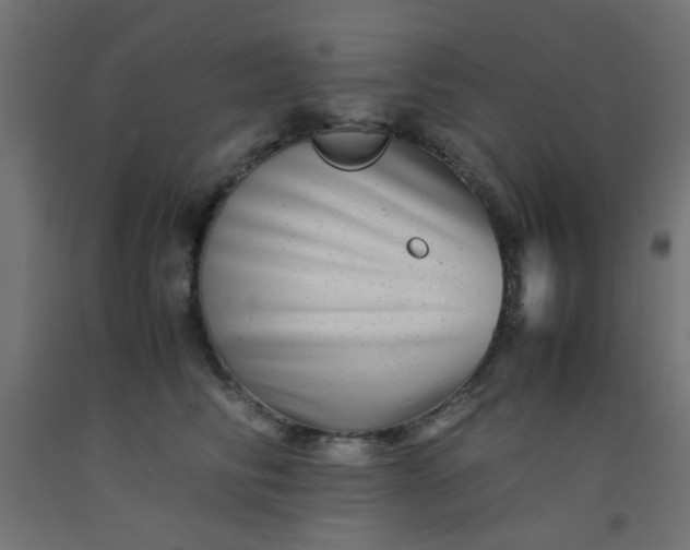 X0000093100710200710101538