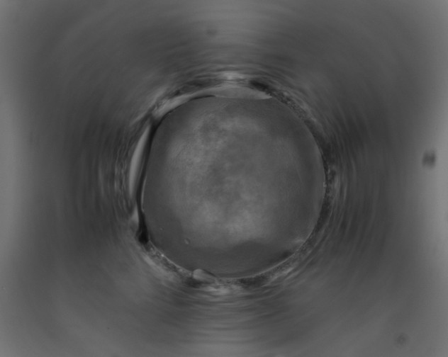 X0000093100712200710101538