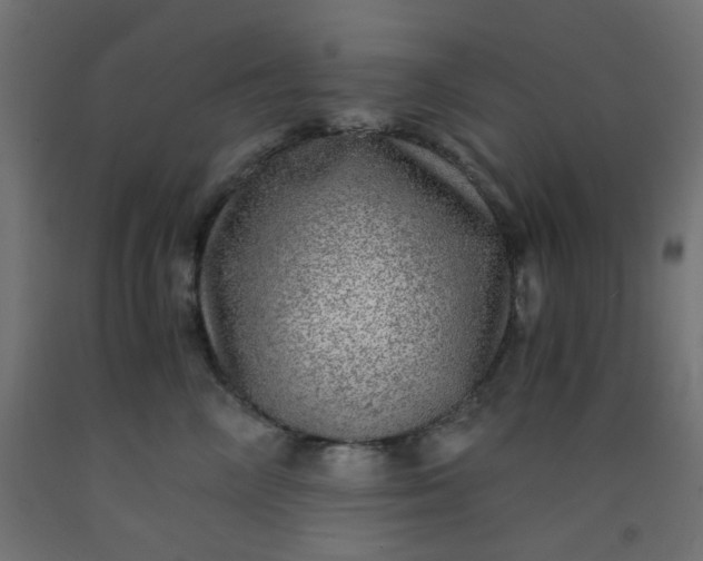 X0000093100714200710101538