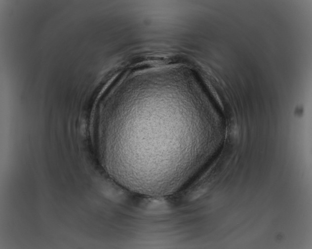 X0000093100715200710101538