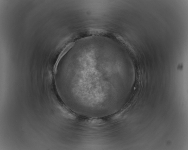 X0000093100716200710101538
