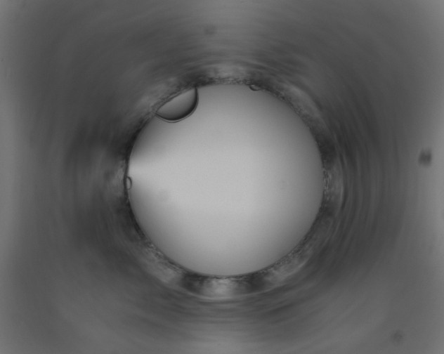 X0000093100717200710101538