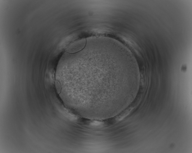 X0000093100718200710101538