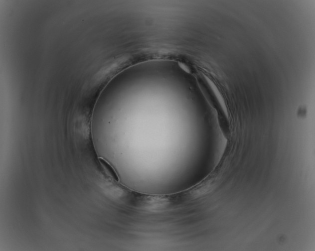 X0000093100719200710101537