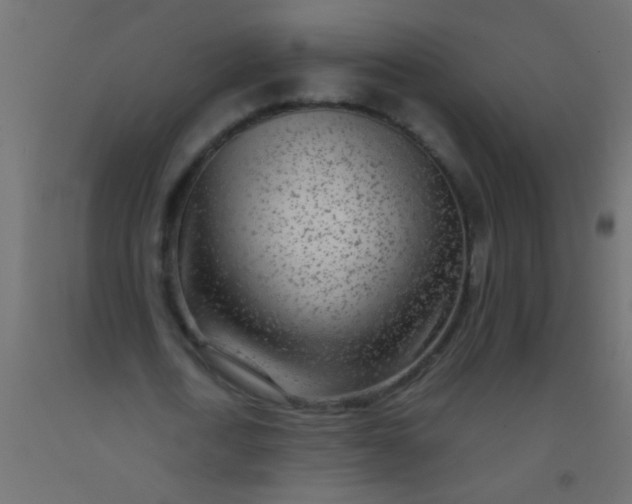 X0000093100722200710101537