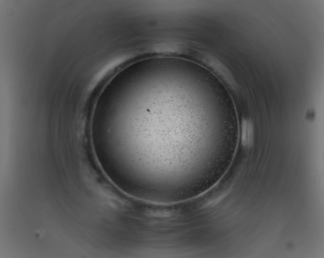 X0000093100723200710101537