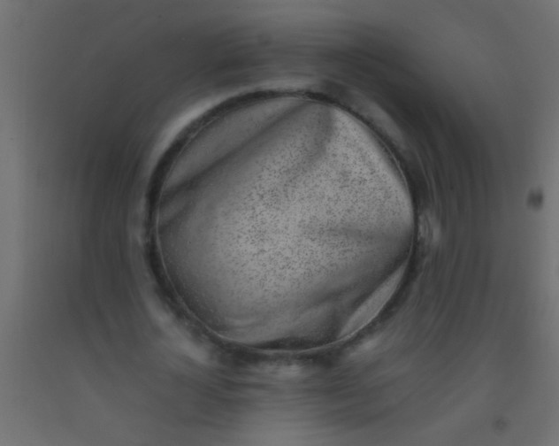 X0000093100724200710101537