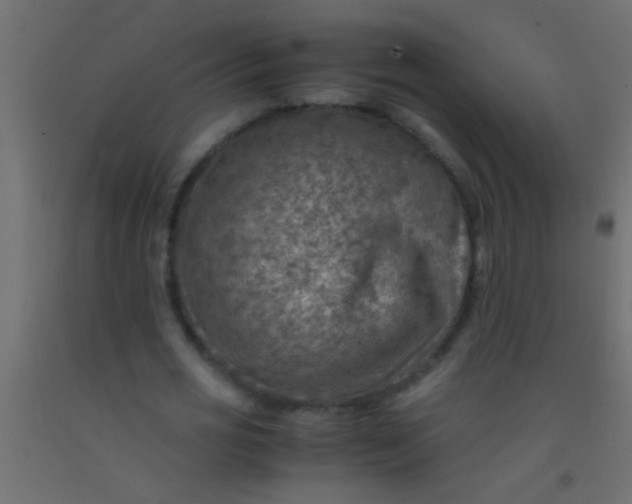 X0000093100725200710101537