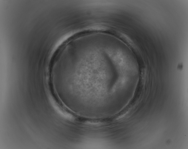X0000093100726200710101537