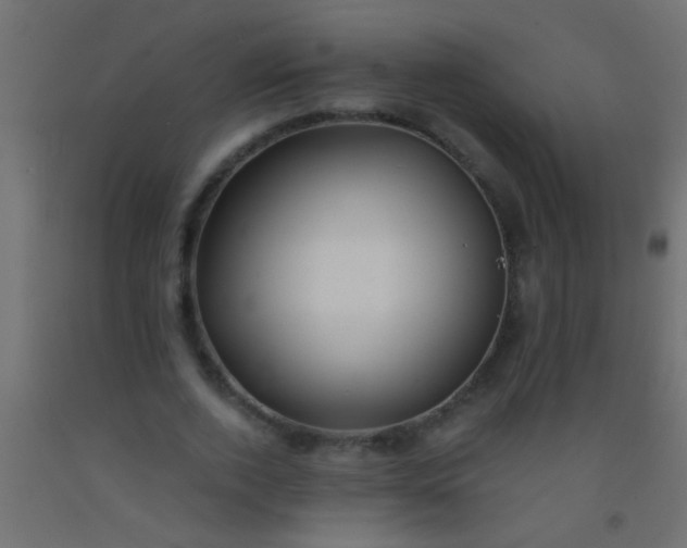 X0000093100728200710101537