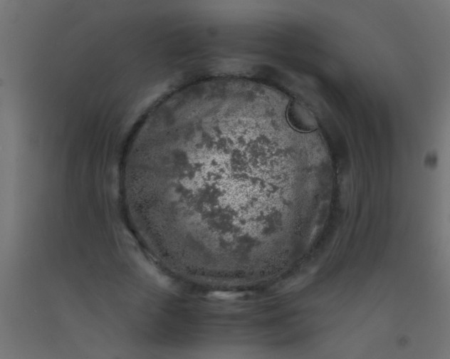 X0000093100729200710101537