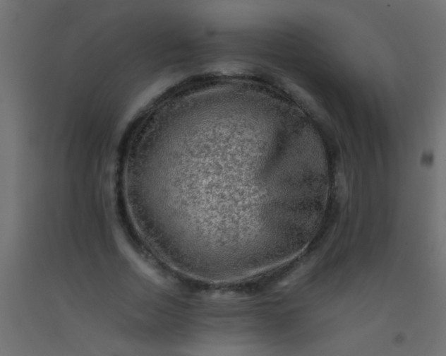 X0000093100730200710101537