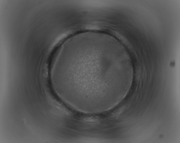 X0000093100731200710101537