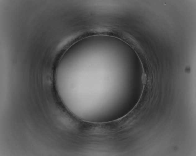 X0000093100732200710101537