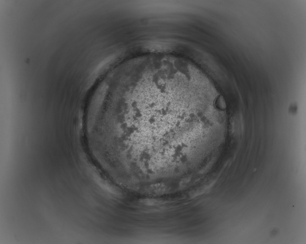 X0000093100733200710101537