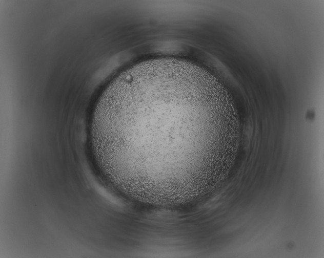 X0000093100734200710101537