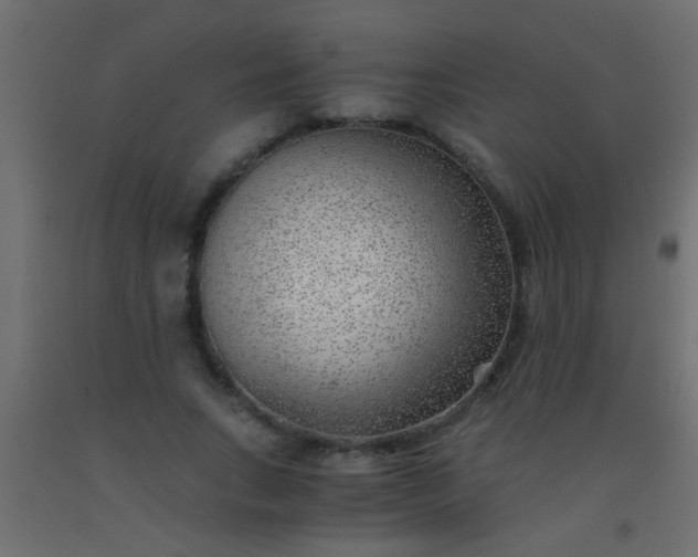 X0000093100735200710101537