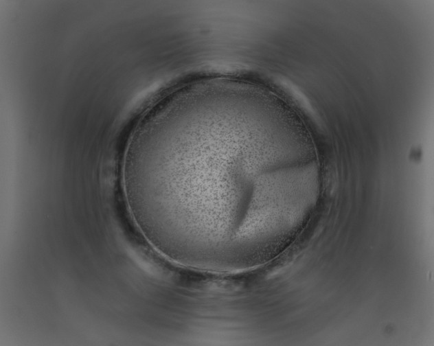 X0000093100736200710101537