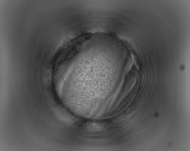 X0000093100739200710101537
