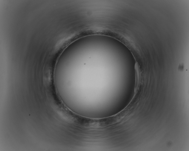 X0000093100740200710101537