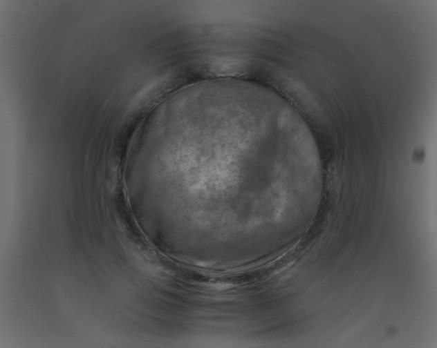 X0000093100741200710101537