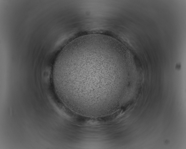 X0000093100742200710101537