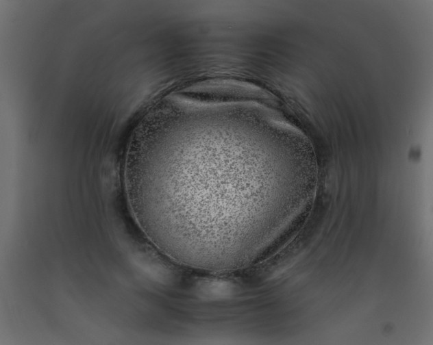 X0000093100743200710101537