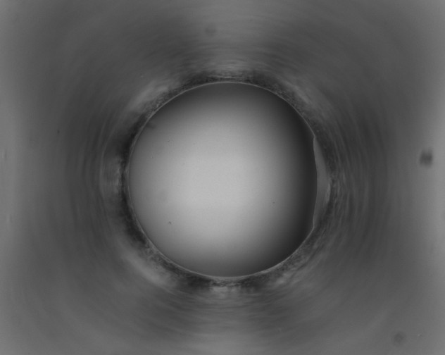 X0000093100744200710101537