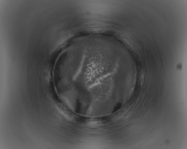 X0000093100746200710101537