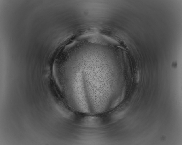 X0000093100748200710101537
