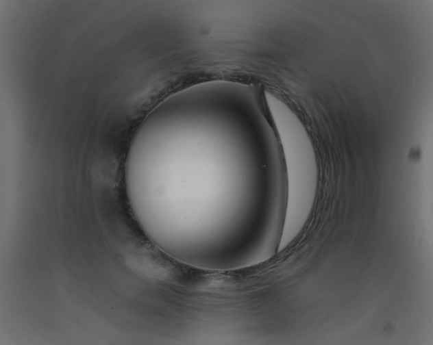 X0000093100750200710101537