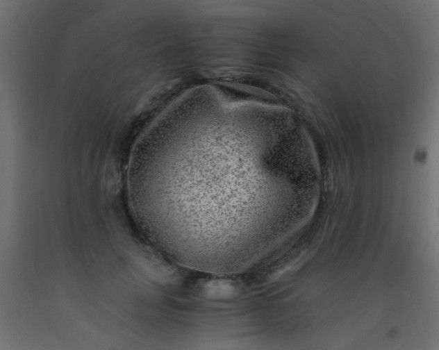 X0000093100751200710101537