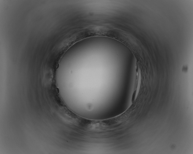 X0000093100752200710101537