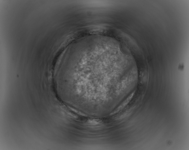 X0000093100753200710101537