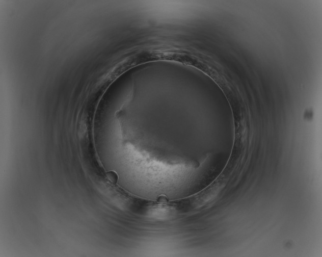 X0000093100754200710101537