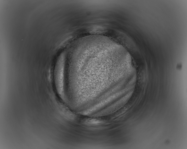 X0000093100755200710101537