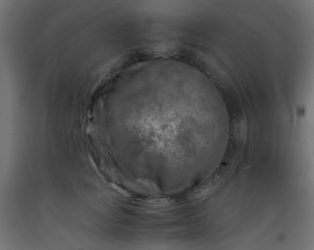 X0000093100757200710101537