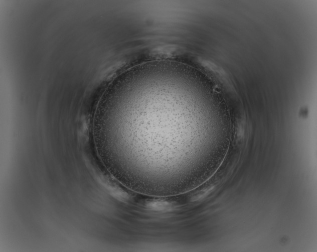X0000093100759200710101537