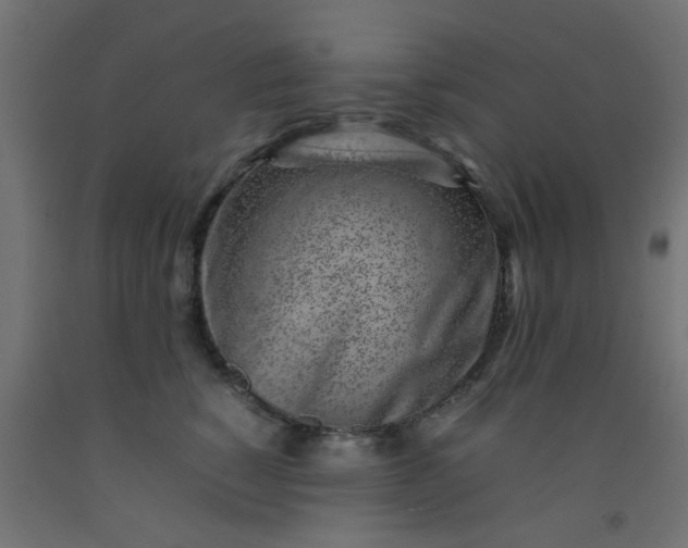 X0000093100760200710101537