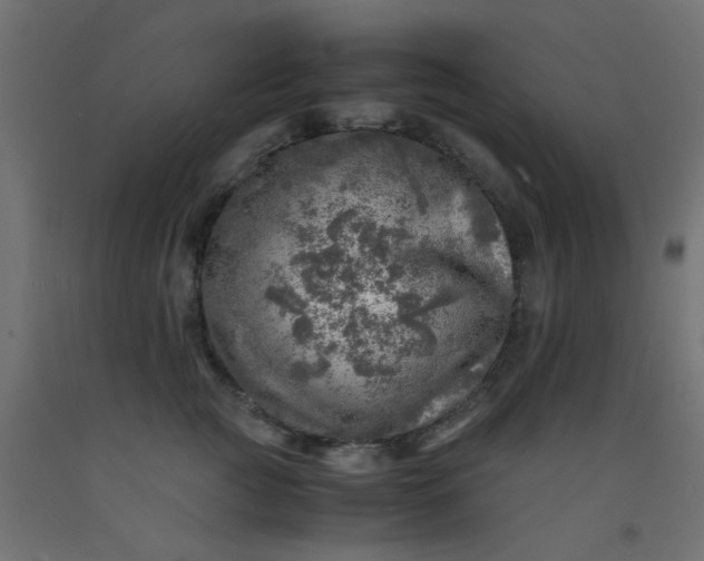 X0000093100761200710101537