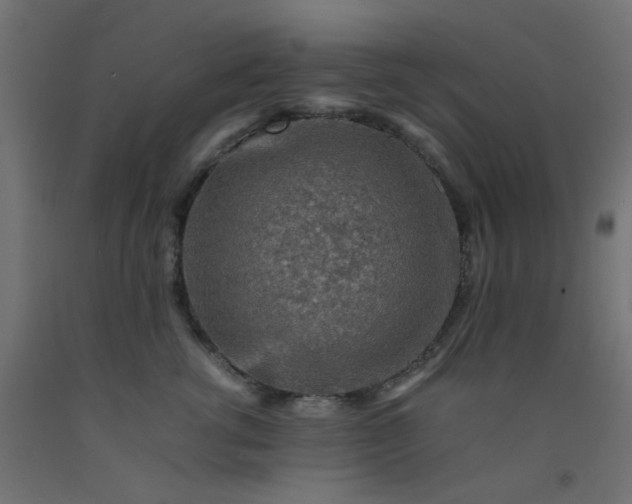 X0000093100762200710101537
