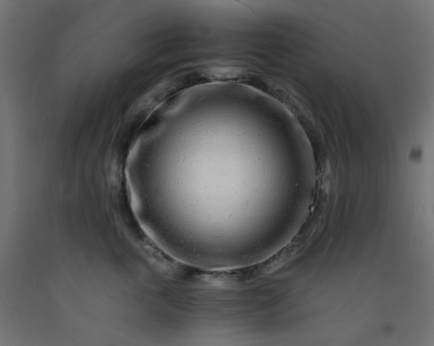 X0000093100763200710101537