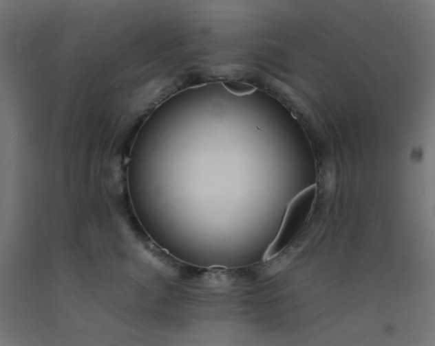 X0000093100764200710101537